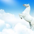 Rüyada Beyaz Atın Şahlanması Ne Anlama Gelir, Neye İşarettir?